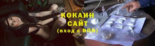 гидра Абаза