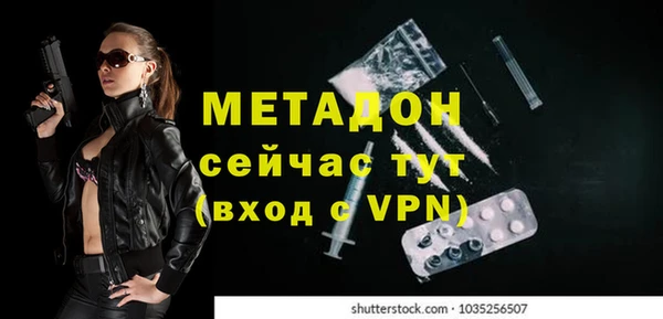 гидра Абаза