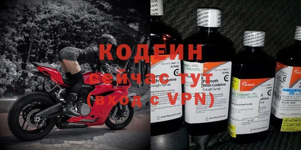 гидра Абаза