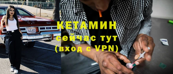 гидра Абаза