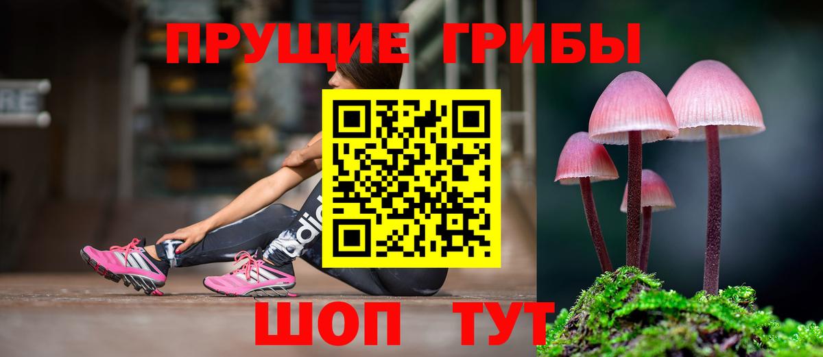 Псилоцибиновые грибы ЛСД Ковров