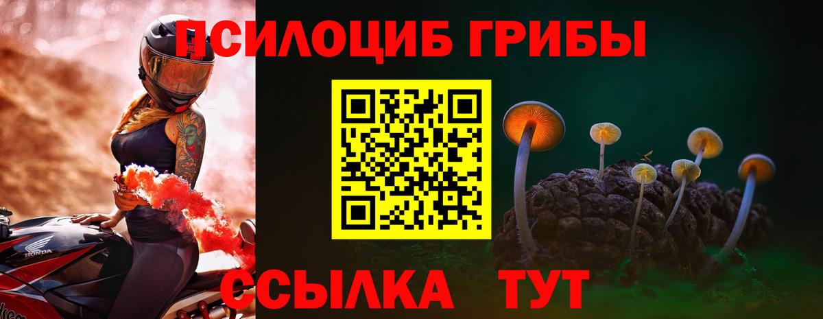 Галлюциногенные грибы мухоморы  Псилоцибиновые грибы прущие грибы  Ковров  купить   Вход с VPN 