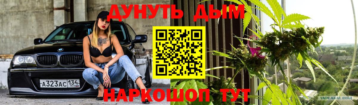 Бошки марихуана планчик Ковров